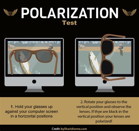 My 10+ Years Testing Sunglasses: Here‘s the Truth .